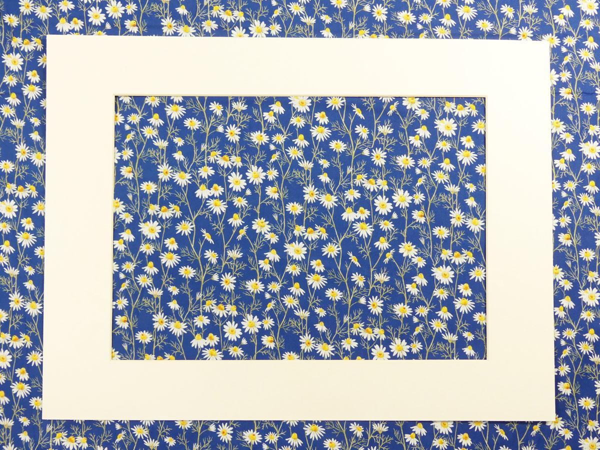 Hedgehog Hollow Blumen Gänseblümchen Daisies blau von In the Beginning
